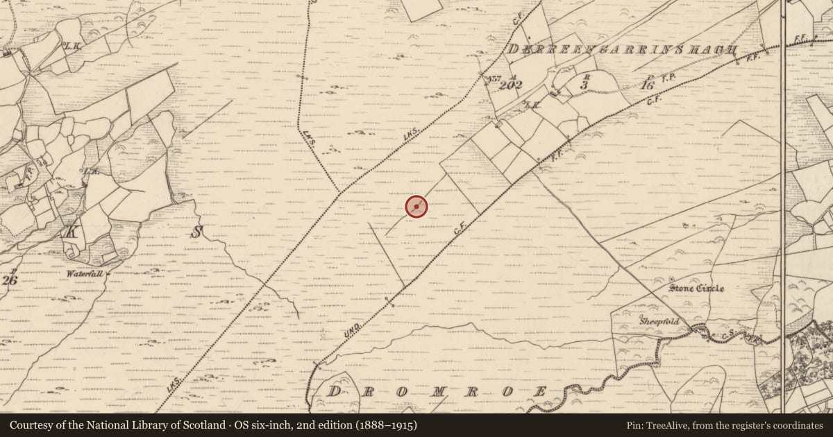 Ordnance Survey six-inch map, 2nd edition (1888–1915) covering the location of Field boundary, Derreengarrinshagh, County Kerry, with a pin at the register's coordinates