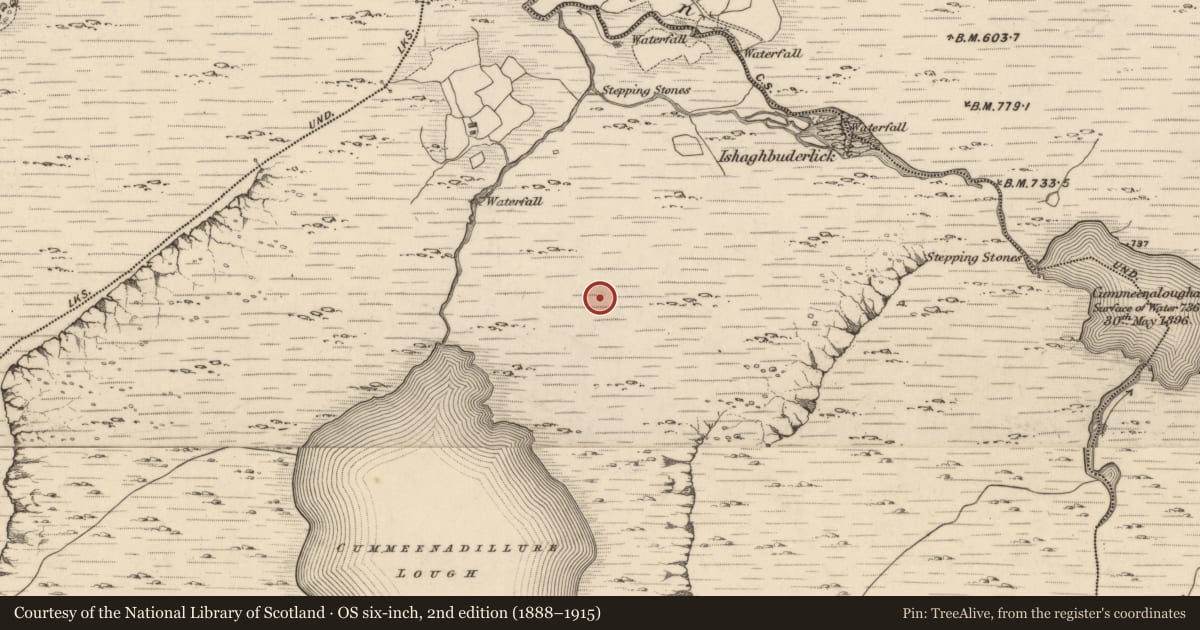 Ordnance Survey six-inch map, 2nd edition (1888–1915) covering the location of Hut site, Rossard, County Kerry, with a pin at the register's coordinates