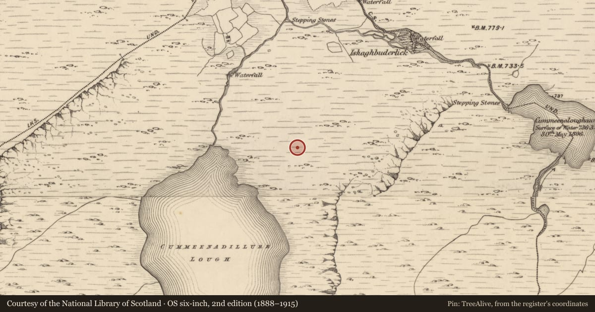Ordnance Survey six-inch map, 2nd edition (1888–1915) covering the location of Field boundary, Rossard, County Kerry, with a pin at the register's coordinates