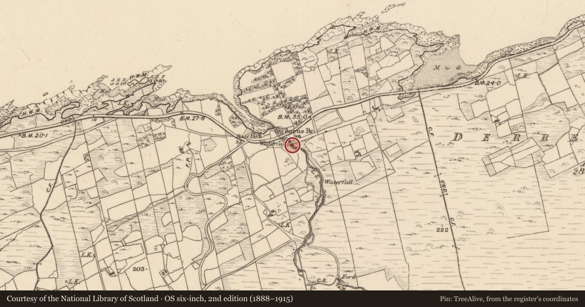 Ordnance Survey six-inch map, 2nd edition (1888–1915) covering the location of Bridge, Feorus East, Feorus West, County Kerry, with a pin at the register's coordinates