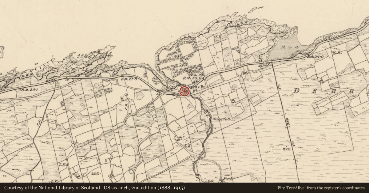 Ordnance Survey six-inch map, 2nd edition (1888–1915) covering the location of Bridge, Feorus East, Feorus West, County Kerry, with a pin at the register's coordinates