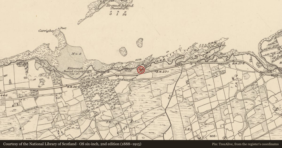 Ordnance Survey six-inch map, 2nd edition (1888–1915) covering the location of Kiln - lime, Feoramore, County Kerry, with a pin at the register's coordinates