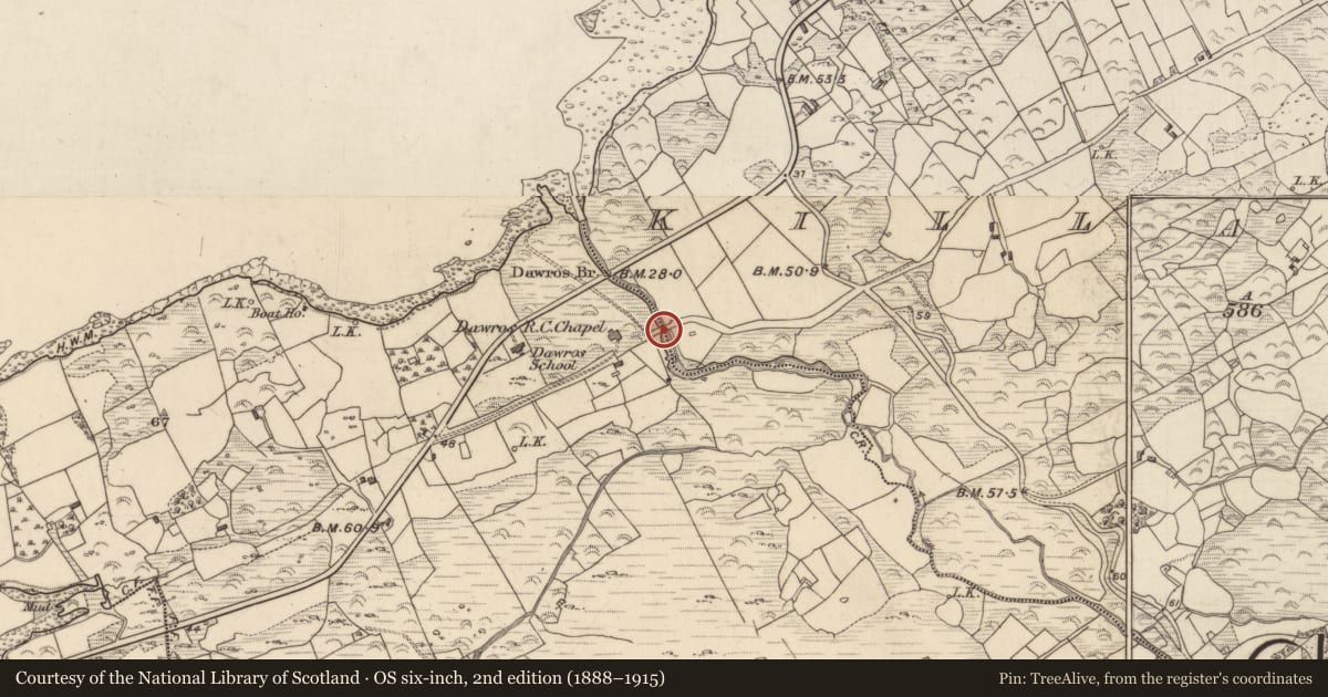 Ordnance Survey six-inch map, 2nd edition (1888–1915) covering the location of Bridge, Dawros, Killaha West, County Kerry, with a pin at the register's coordinates