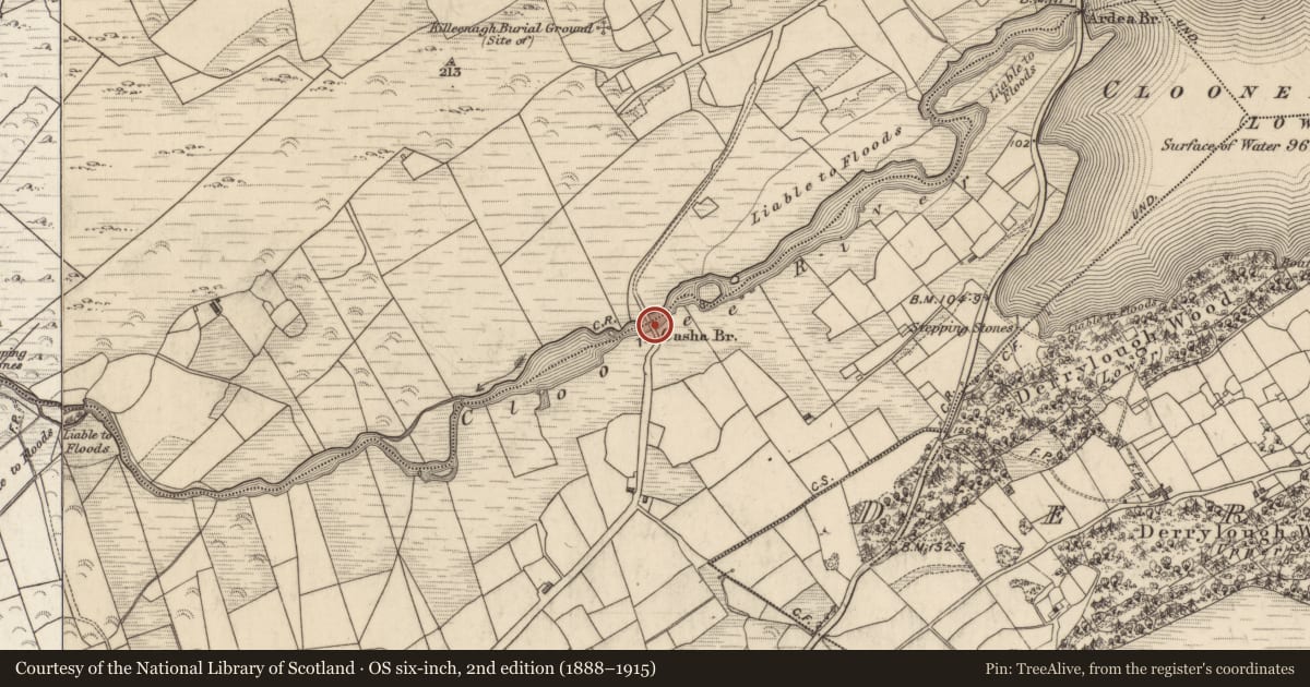 Ordnance Survey six-inch map, 2nd edition (1888–1915) covering the location of Bridge, Ardea, Cloonee, County Kerry, with a pin at the register's coordinates