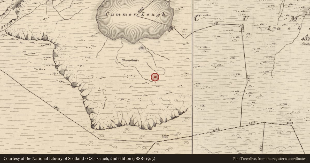Ordnance Survey six-inch map, 2nd edition (1888–1915) covering the location of House - vernacular house, Derrysallagh, County Kerry, with a pin at the register's coordinates