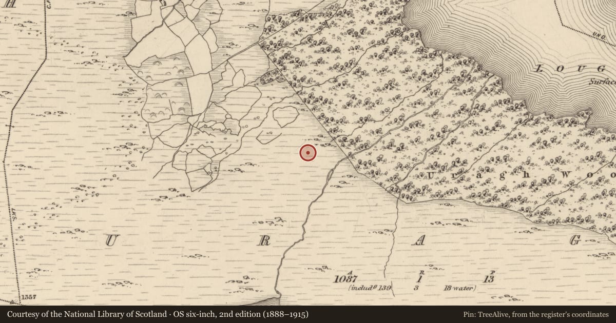 Ordnance Survey six-inch map, 2nd edition (1888–1915) covering the location of Charcoal-making site, Uragh, County Kerry, with a pin at the register's coordinates