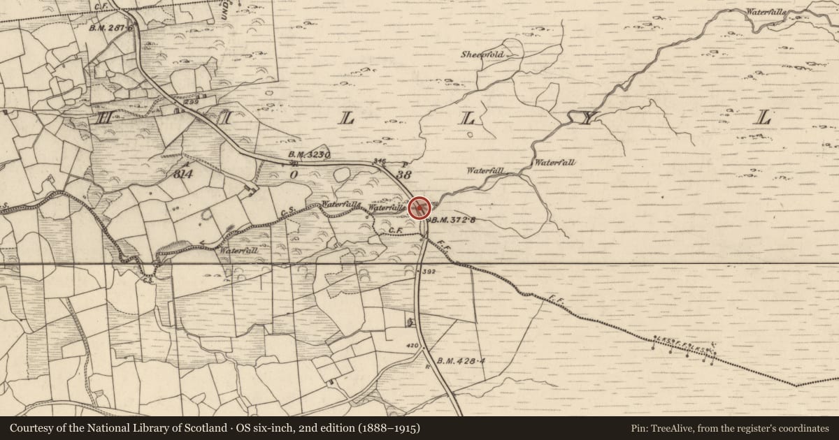 Ordnance Survey six-inch map, 2nd edition (1888–1915) covering the location of Bridge, Drombohilly Lower, County Kerry, with a pin at the register's coordinates