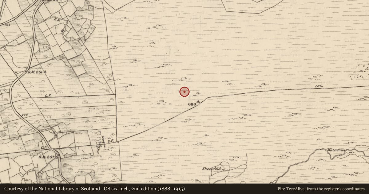 Ordnance Survey six-inch map, 2nd edition (1888–1915) covering the location of Fulacht fia, Derrylough, County Kerry, with a pin at the register's coordinates