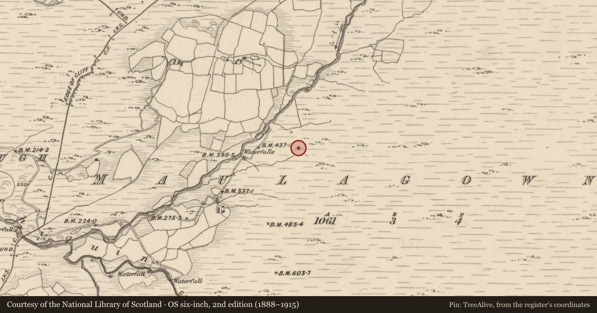 Ordnance Survey six-inch map, 2nd edition (1888–1915) covering the location of Hut site, Maulagowna, County Kerry, with a pin at the register's coordinates