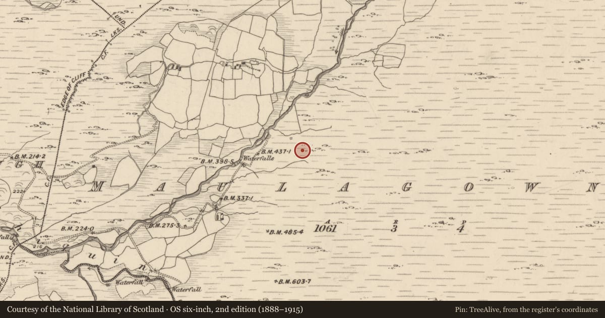 Ordnance Survey six-inch map, 2nd edition (1888–1915) covering the location of Hut site, Maulagowna, County Kerry, with a pin at the register's coordinates