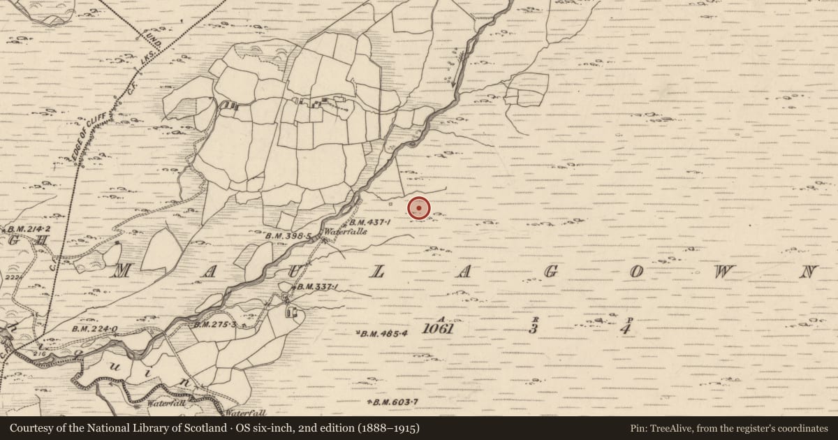 Ordnance Survey six-inch map, 2nd edition (1888–1915) covering the location of Hut site, Maulagowna, County Kerry, with a pin at the register's coordinates