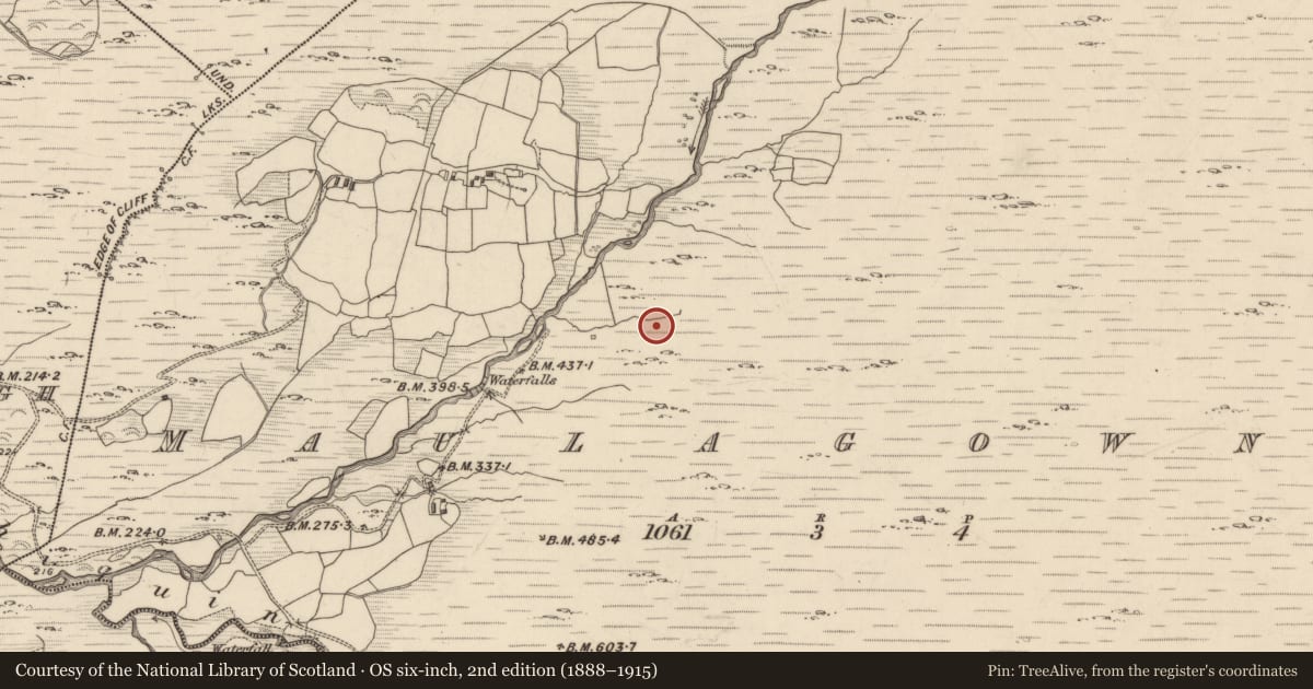 Ordnance Survey six-inch map, 2nd edition (1888–1915) covering the location of Hut site, Maulagowna, County Kerry, with a pin at the register's coordinates