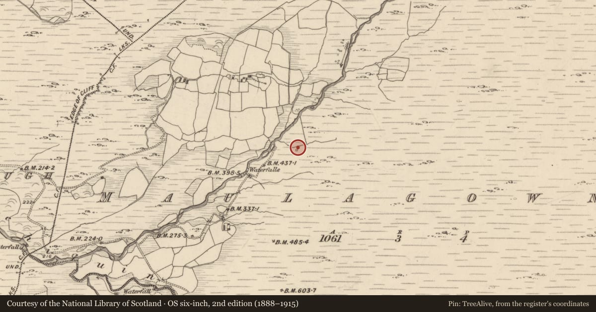 Ordnance Survey six-inch map, 2nd edition (1888–1915) covering the location of Hut site, Maulagowna, County Kerry, with a pin at the register's coordinates
