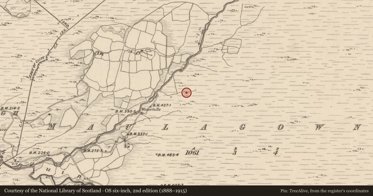 Ordnance Survey six-inch map, 2nd edition (1888–1915) covering the location of Platform, Maulagowna, County Kerry, with a pin at the register's coordinates