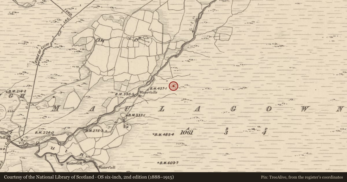 Ordnance Survey six-inch map, 2nd edition (1888–1915) covering the location of Bridge, Maulagowna, County Kerry, with a pin at the register's coordinates