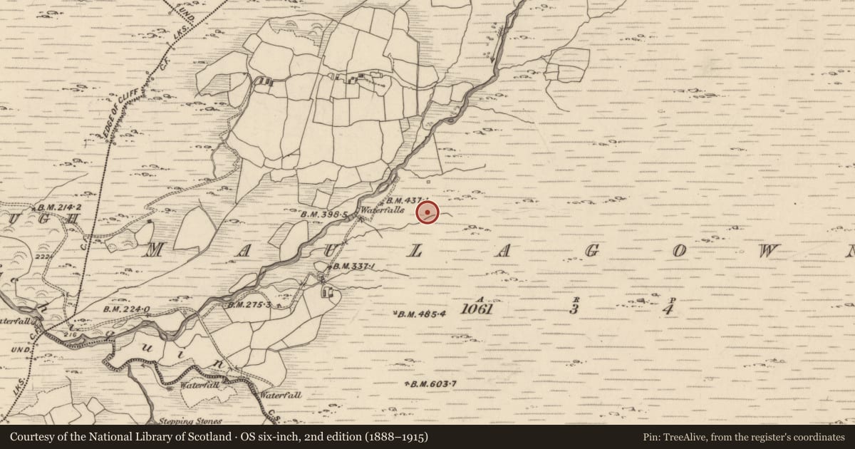 Ordnance Survey six-inch map, 2nd edition (1888–1915) covering the location of Charcoal-making site, Maulagowna, County Kerry, with a pin at the register's coordinates