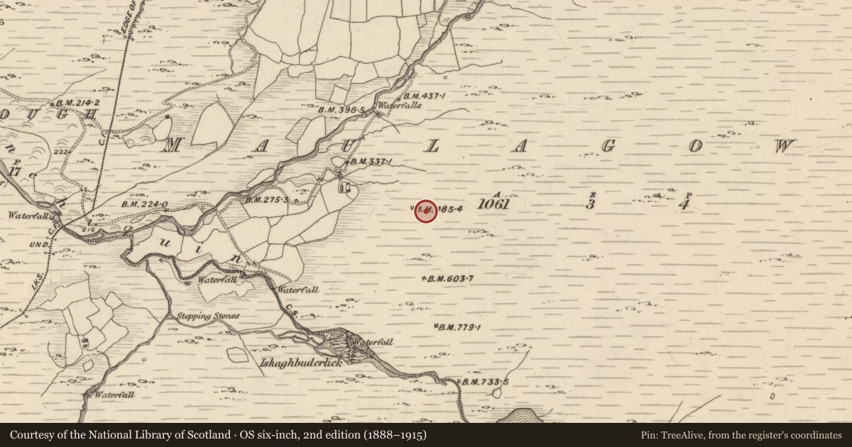 Ordnance Survey six-inch map, 2nd edition (1888–1915) covering the location of Charcoal-making site, Maulagowna, County Kerry, with a pin at the register's coordinates