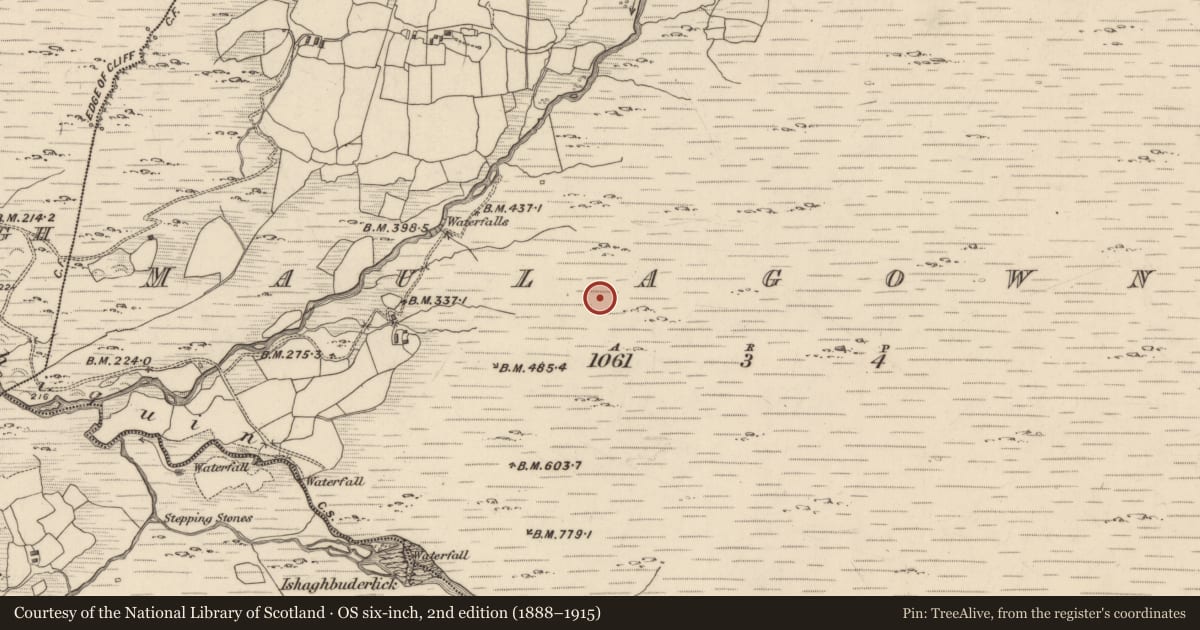 Ordnance Survey six-inch map, 2nd edition (1888–1915) covering the location of Charcoal-making site, Maulagowna, County Kerry, with a pin at the register's coordinates