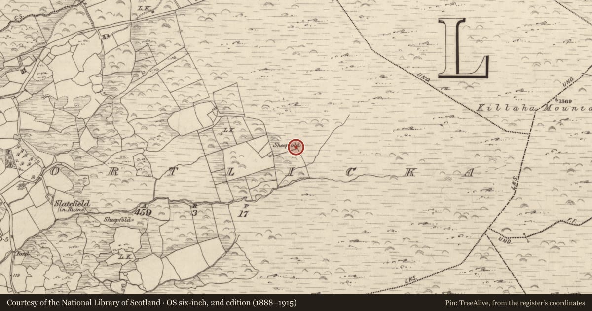 Ordnance Survey six-inch map, 2nd edition (1888–1915) covering the location of Hut site, Gortlicka, County Kerry, with a pin at the register's coordinates