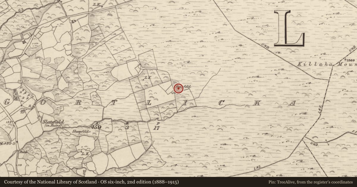 Ordnance Survey six-inch map, 2nd edition (1888–1915) covering the location of Field boundary, Gortlicka, County Kerry, with a pin at the register's coordinates