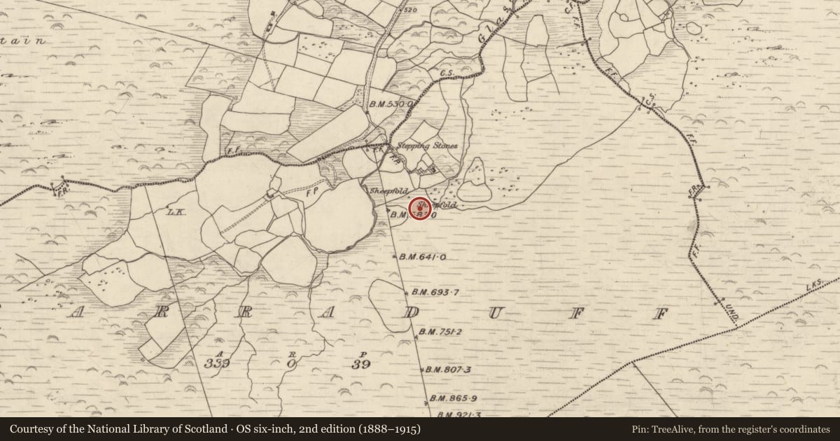 Ordnance Survey six-inch map, 2nd edition (1888–1915) covering the location of Hut site, Barraduff, County Kerry, with a pin at the register's coordinates