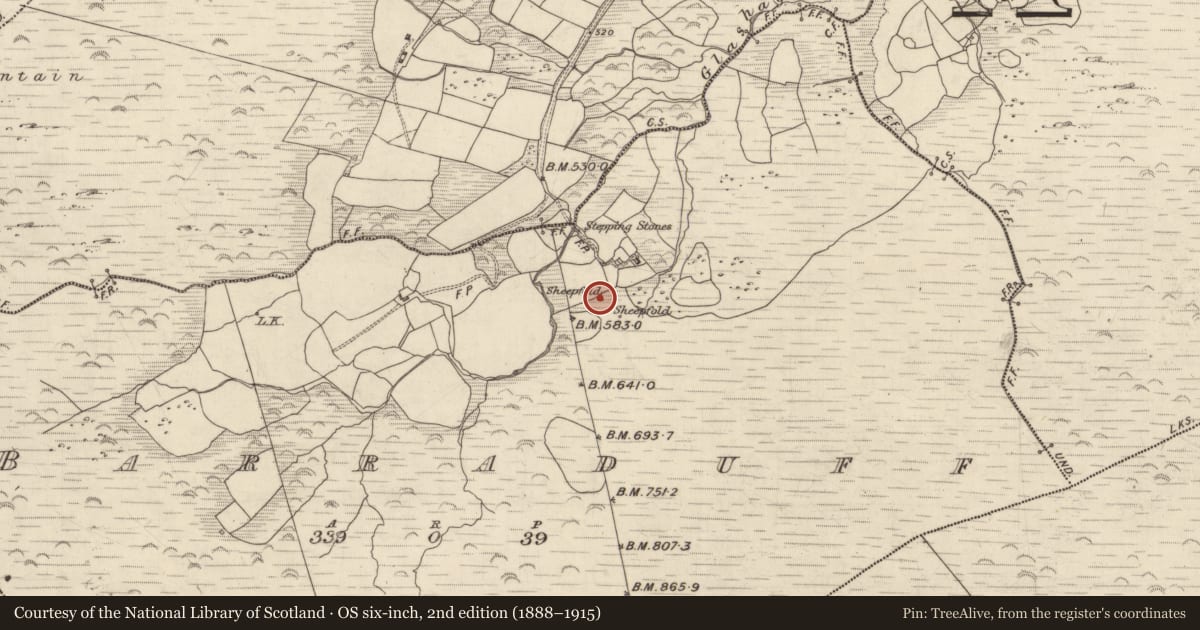 Ordnance Survey six-inch map, 2nd edition (1888–1915) covering the location of Hut site, Barraduff, County Kerry, with a pin at the register's coordinates