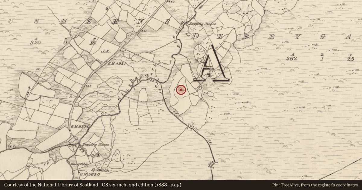 Ordnance Survey six-inch map, 2nd edition (1888–1915) covering the location of Ringfort - cashel, Derrygarriv, County Kerry, with a pin at the register's coordinates
