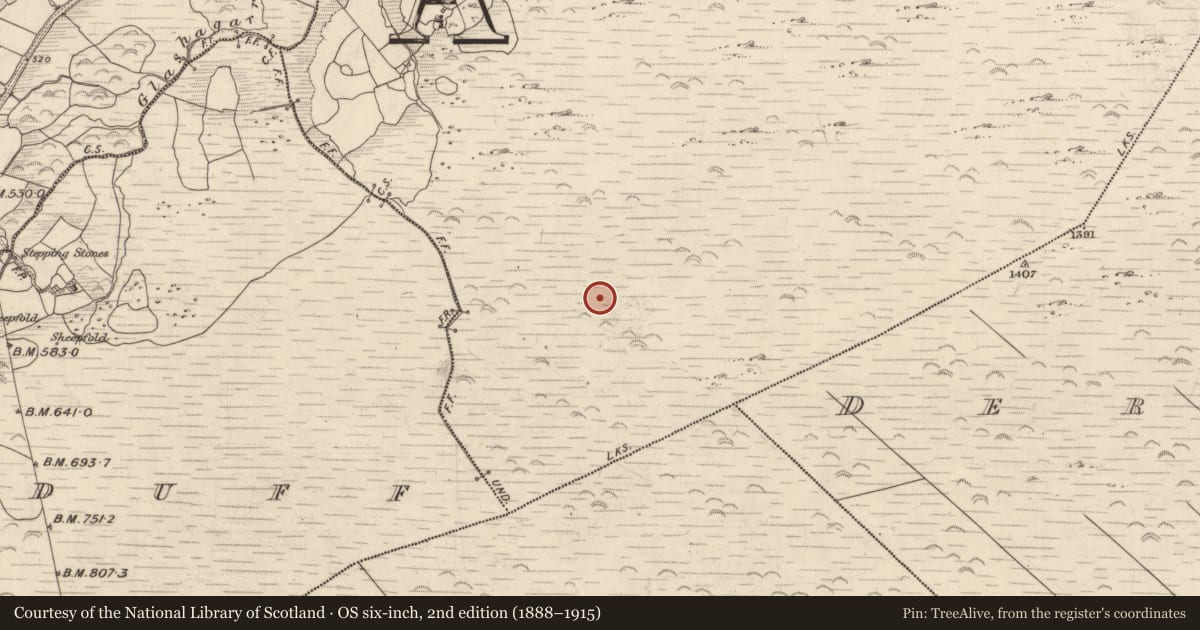 Ordnance Survey six-inch map, 2nd edition (1888–1915) covering the location of Hut site, Derrygarriv, County Kerry, with a pin at the register's coordinates