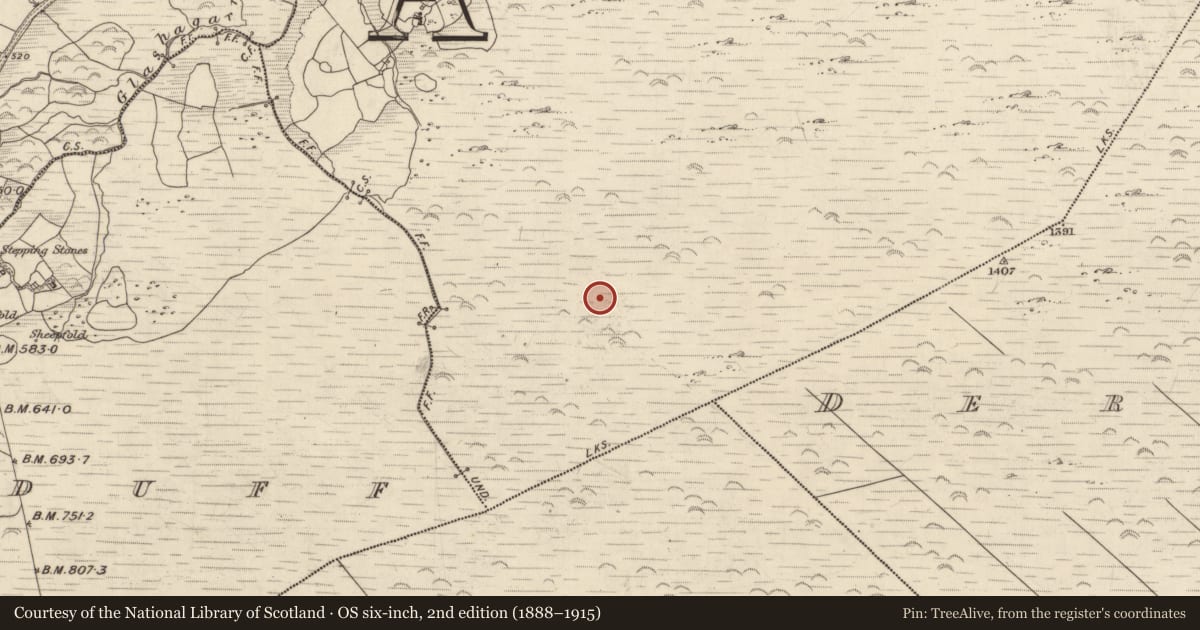 Ordnance Survey six-inch map, 2nd edition (1888–1915) covering the location of Hut site, Derrygarriv, County Kerry, with a pin at the register's coordinates