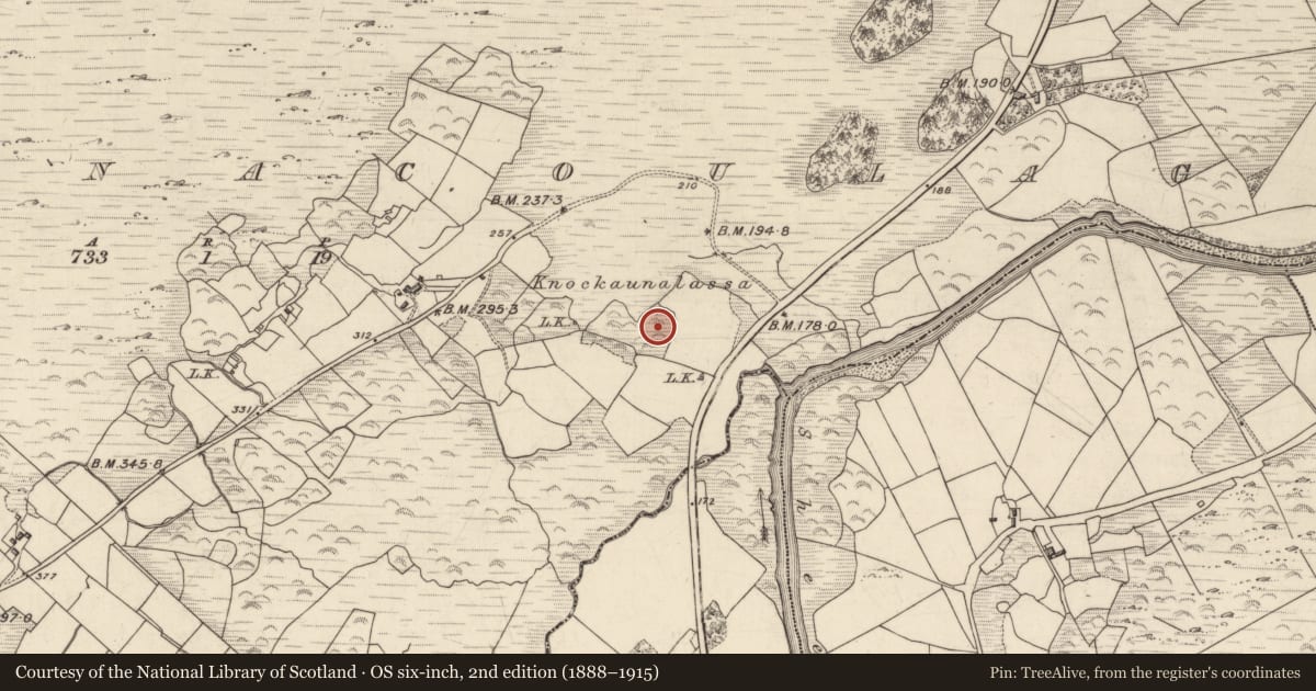 Ordnance Survey six-inch map, 2nd edition (1888–1915) covering the location of Ringfort - rath, Derrynacoulagh, County Kerry, with a pin at the register's coordinates