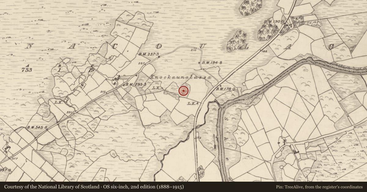 Ordnance Survey six-inch map, 2nd edition (1888–1915) covering the location of Children's burial ground, Derrynacoulagh, County Kerry, with a pin at the register's coordinates