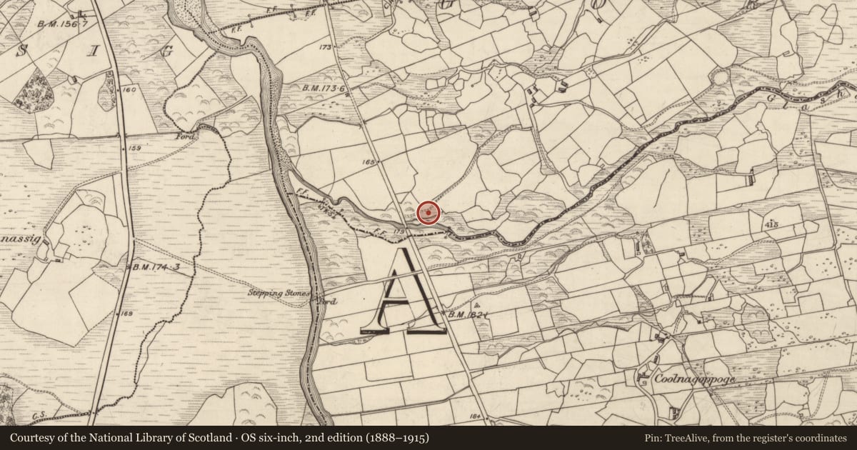Ordnance Survey six-inch map, 2nd edition (1888–1915) covering the location of Ringfort - rath, Gortlahard, County Kerry, with a pin at the register's coordinates