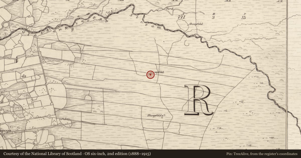 Ordnance Survey six-inch map, 2nd edition (1888–1915) covering the location of Hut site, Coolnagoppoge, County Kerry, with a pin at the register's coordinates
