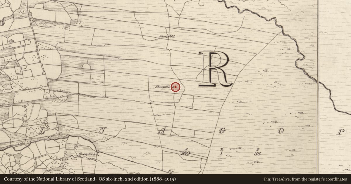 Ordnance Survey six-inch map, 2nd edition (1888–1915) covering the location of Hut site, Coolnagoppoge, County Kerry, with a pin at the register's coordinates