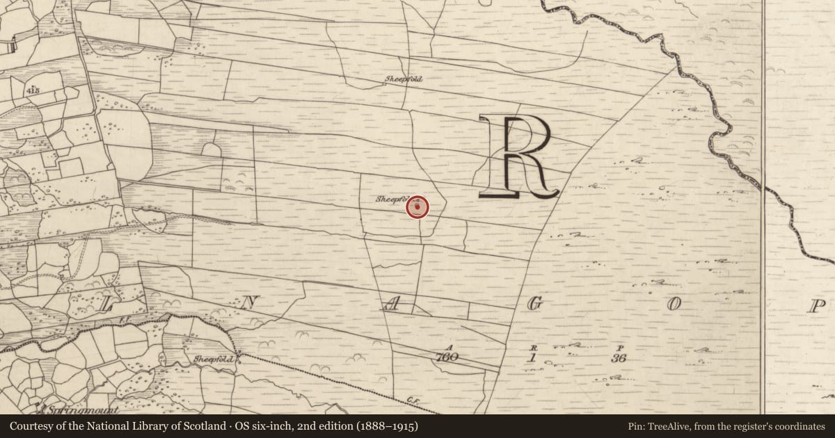 Ordnance Survey six-inch map, 2nd edition (1888–1915) covering the location of Hut site, Coolnagoppoge, County Kerry, with a pin at the register's coordinates