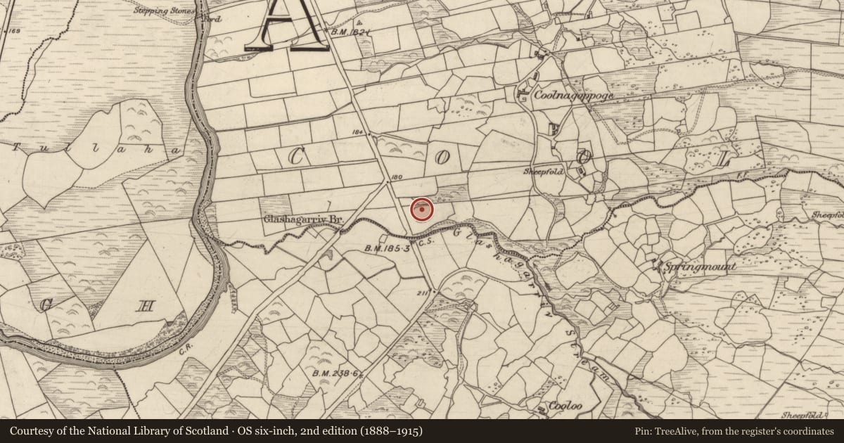 Ordnance Survey six-inch map, 2nd edition (1888–1915) covering the location of Children's burial ground, Coolnagoppoge, County Kerry, with a pin at the register's coordinates