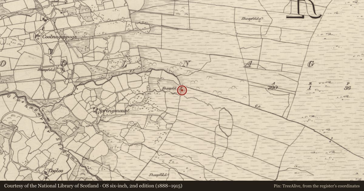 Ordnance Survey six-inch map, 2nd edition (1888–1915) covering the location of Hut site, Crinagort, County Kerry, with a pin at the register's coordinates
