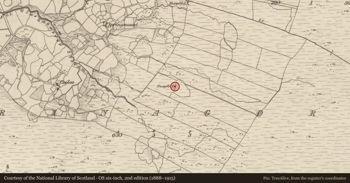 Ordnance Survey six-inch map, 2nd edition (1888–1915) covering the location of Enclosure, Crinagort, County Kerry, with a pin at the register's coordinates
