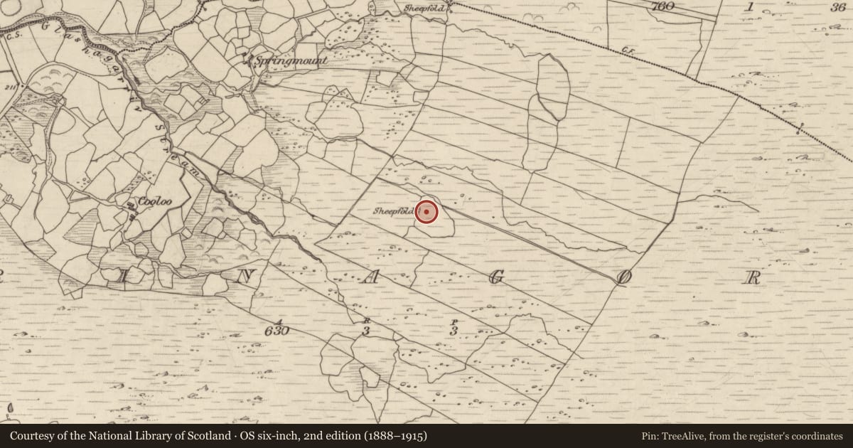 Ordnance Survey six-inch map, 2nd edition (1888–1915) covering the location of Enclosure, Crinagort, County Kerry, with a pin at the register's coordinates