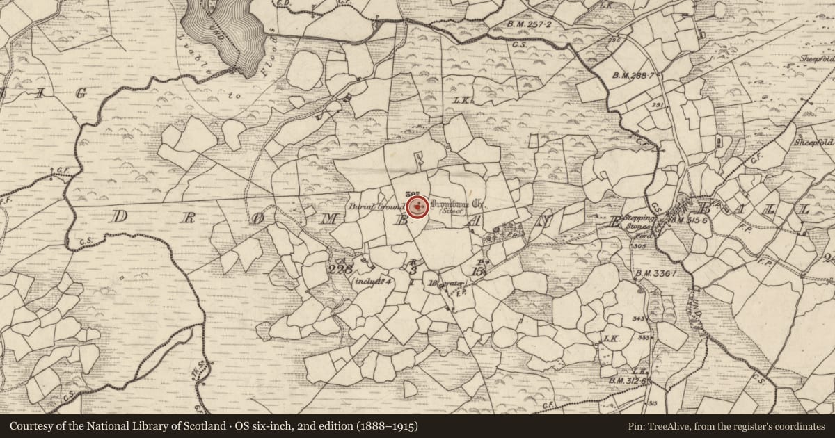 Ordnance Survey six-inch map, 2nd edition (1888–1915) covering the location of Church, Drombane, County Kerry, with a pin at the register's coordinates