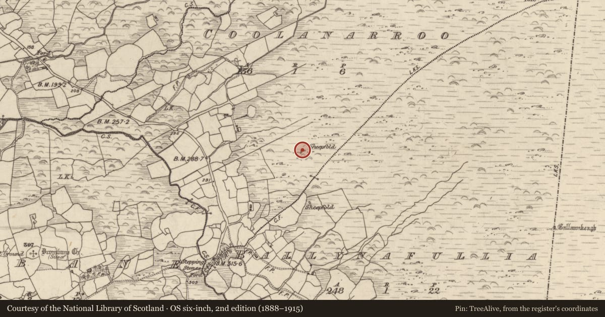 Ordnance Survey six-inch map, 2nd edition (1888–1915) covering the location of Hut site, Coolanarroo, County Kerry, with a pin at the register's coordinates