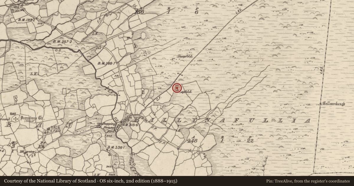 Ordnance Survey six-inch map, 2nd edition (1888–1915) covering the location of Hut site, Ballynafullia, County Kerry, with a pin at the register's coordinates