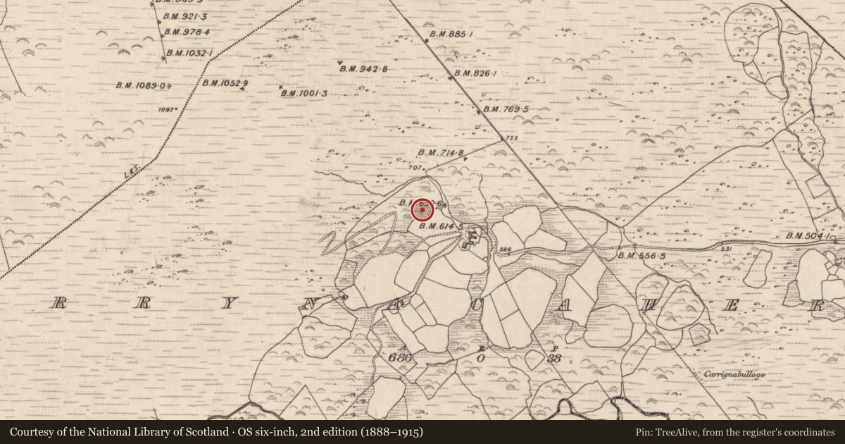 Ordnance Survey six-inch map, 2nd edition (1888–1915) covering the location of Enclosure, Derrynacaheragh, County Kerry, with a pin at the register's coordinates