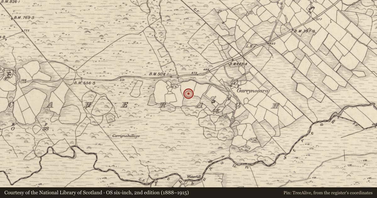 Ordnance Survey six-inch map, 2nd edition (1888–1915) covering the location of Ringfort - rath, Derrynacaheragh, County Kerry, with a pin at the register's coordinates