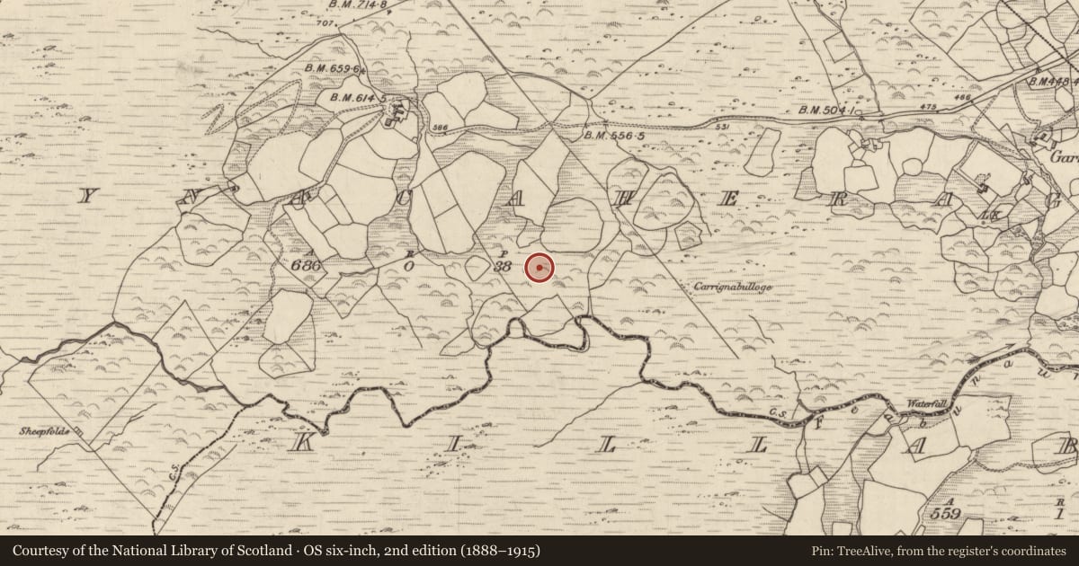 Ordnance Survey six-inch map, 2nd edition (1888–1915) covering the location of Ringfort - rath, Derrynacaheragh, County Kerry, with a pin at the register's coordinates