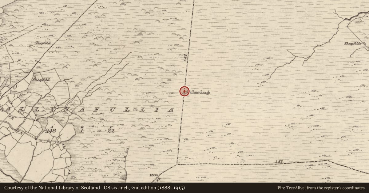 Ordnance Survey six-inch map, 2nd edition (1888–1915) covering the location of Standing stone - pair, Ballynafullia, Derrynacaheragh, County Kerry, with a pin at the register's coordinates