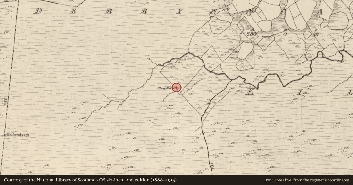 Ordnance Survey six-inch map, 2nd edition (1888–1915) covering the location of Hut site, Derrynacaheragh, County Kerry, with a pin at the register's coordinates