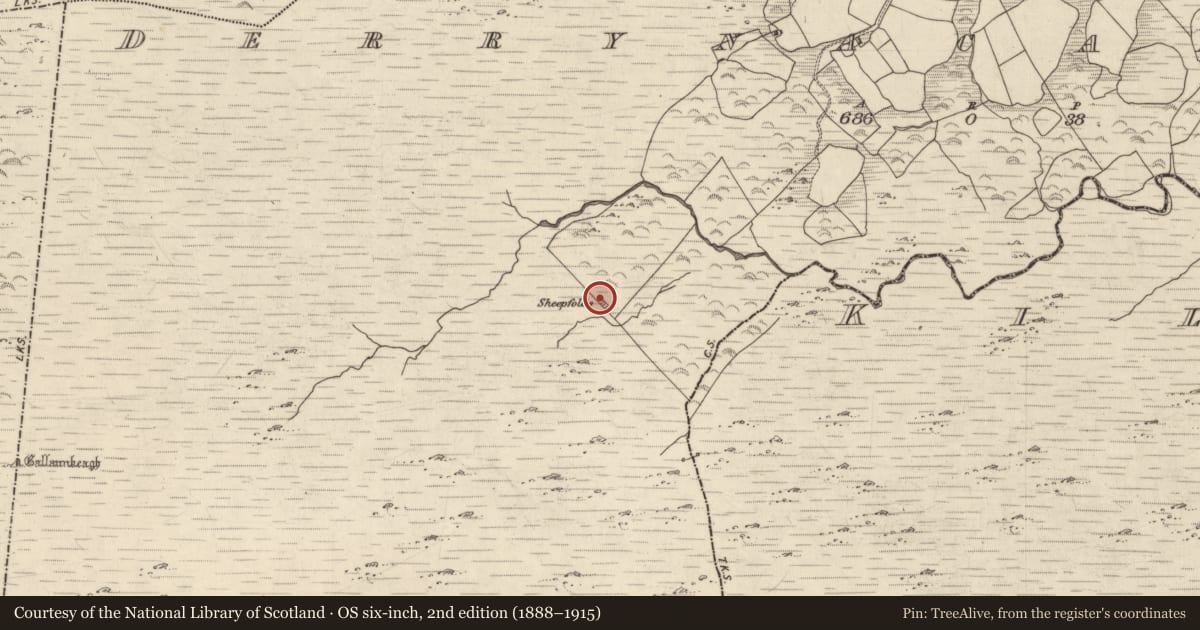 Ordnance Survey six-inch map, 2nd edition (1888–1915) covering the location of Enclosure, Derrynacaheragh, County Kerry, with a pin at the register's coordinates