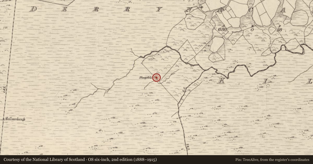 Ordnance Survey six-inch map, 2nd edition (1888–1915) covering the location of Enclosure, Derrynacaheragh, County Kerry, with a pin at the register's coordinates