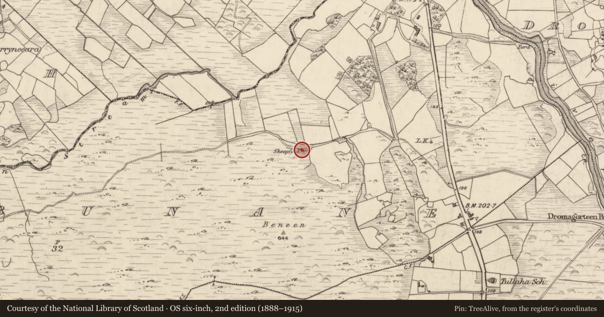 Ordnance Survey six-inch map, 2nd edition (1888–1915) covering the location of Hut site, Killabunane, County Kerry, with a pin at the register's coordinates